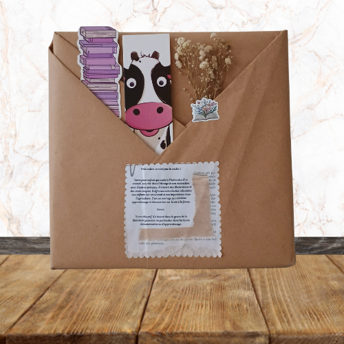 Livre neuf - Livre Mystère Enfant N°5