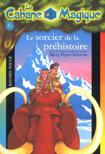 Livre occasion en très bon état - Le Sorcier de la Préhistoire