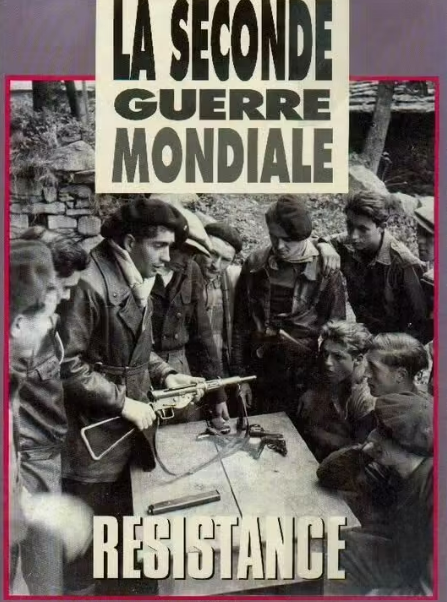 Livre occasion en bon état - La Seconde Guerre mondiale : Résistance