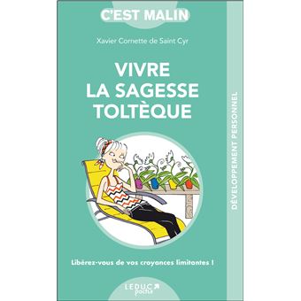 Livre occasion en bon état - Vivre la sagesse toltèque